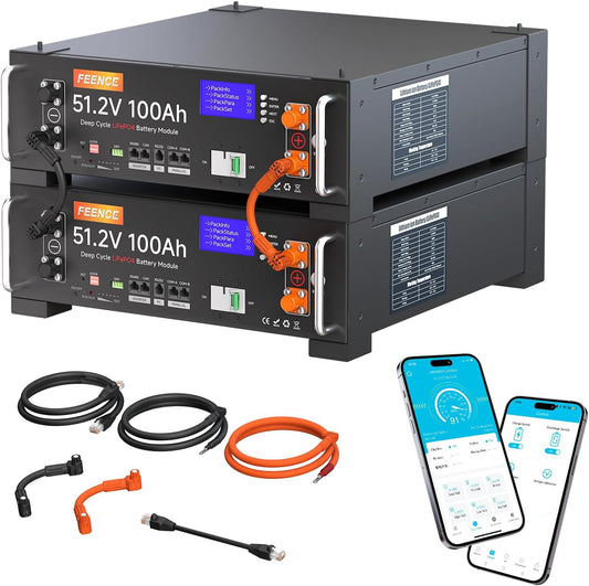Pack de 2 baterías de 48V 100Ah LiFePO4 de litio